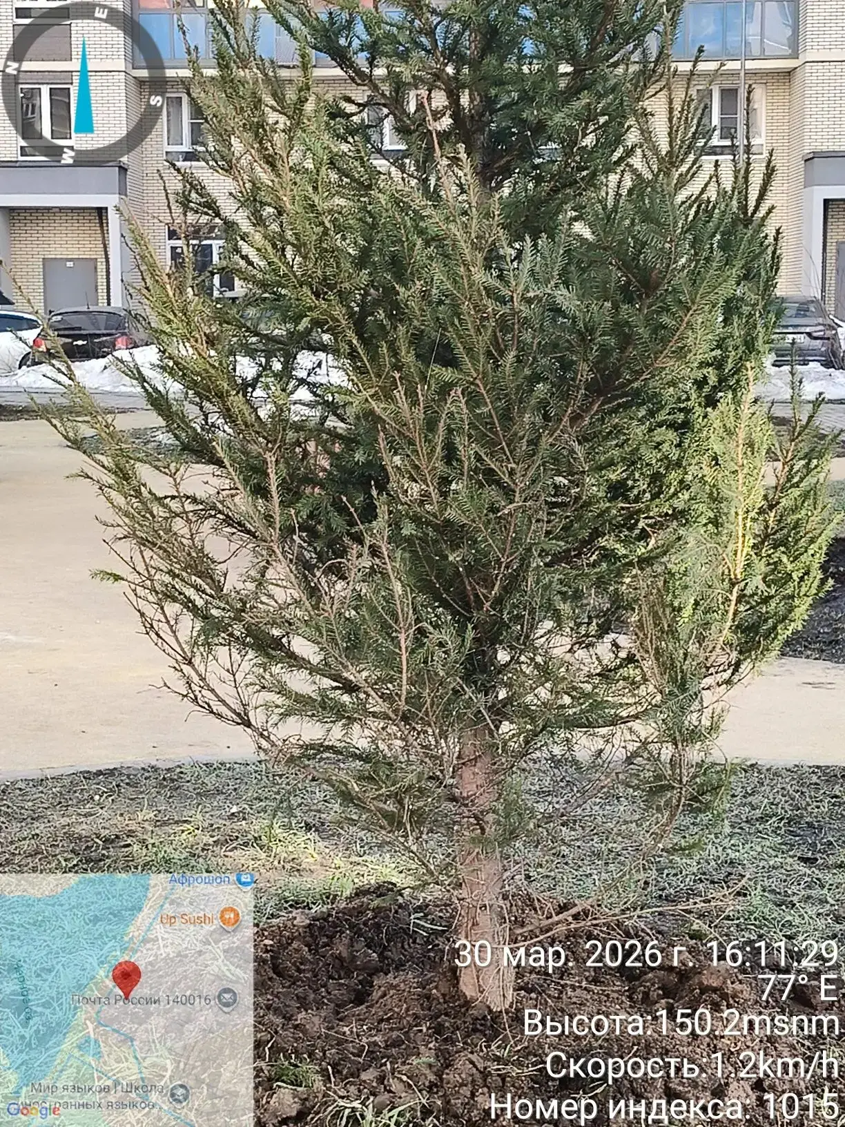 🌿 Накануне на дворовой территории дома Камова, 5 корпус 2 проведены работы по благоустройству  По ин