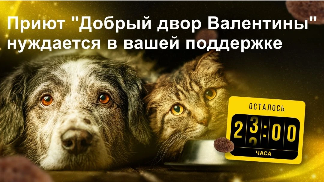 Через 4 часа заканчивается «корзина помощи» для приюта "Добрый двор Валентины" г. Кемерово  В городе