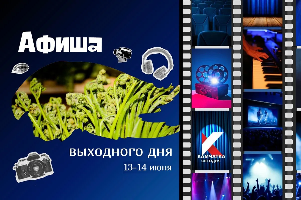 Куда сходить 13-14 июня: афиша выходных на Камчатке

🗓 В эти выходные вас ждут массовый сбор папоро