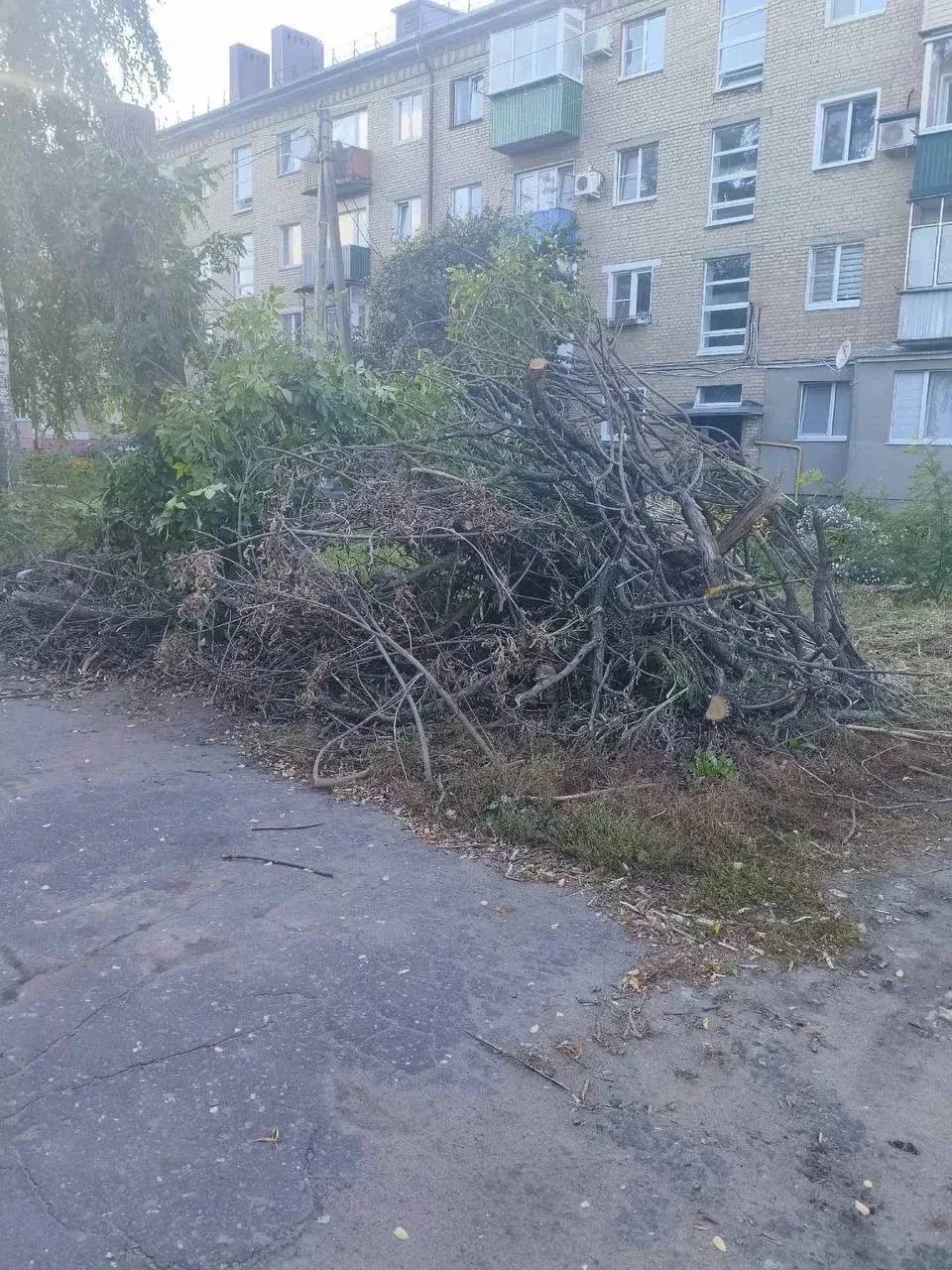 Жители дома №54 на улице Гастелло уже два месяца ждут, когда коммунальные службы уберут...