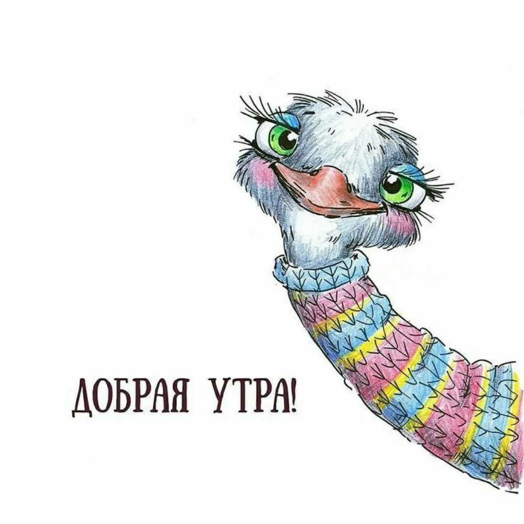 Изображение 1 к публикации «Лучшие открытки и поздравления. Доброе утро! С Днём рождения! Спокойной ночи! Настроение. 28 июля С Днём крещения Руси! День памяти князя Владимира. С Днём PR-специалиста, охраны природы!»