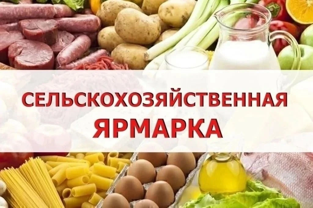 🌾 Праздничная сельскохозяйственная ярмарка ко Дню Республики!