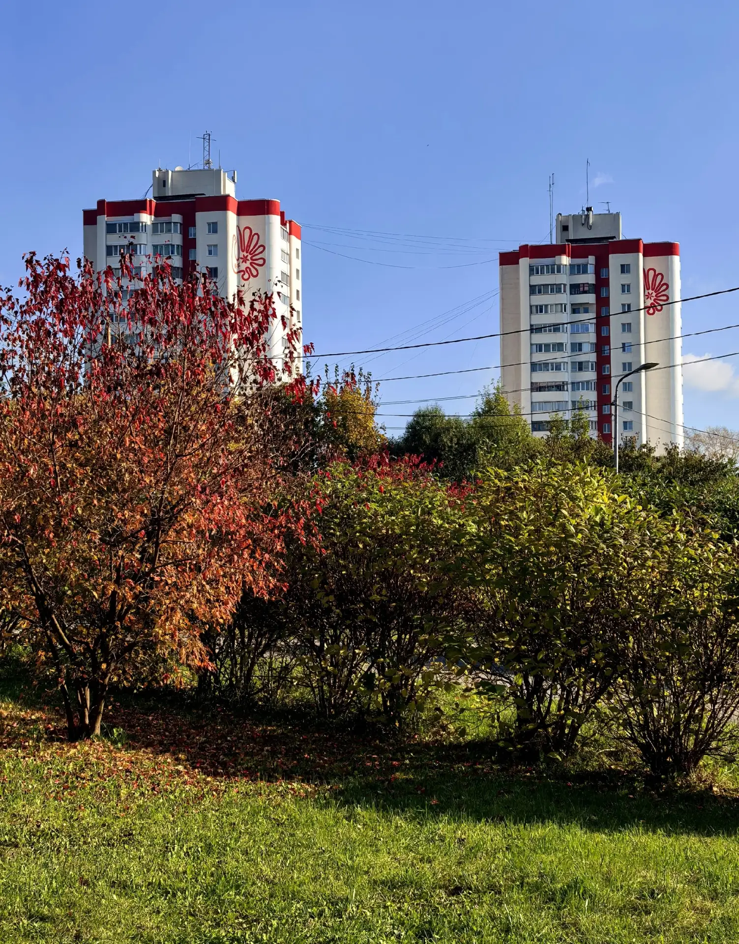 Последний день сентября порадовал теплой погодой ☀️🍁 🍃☀️