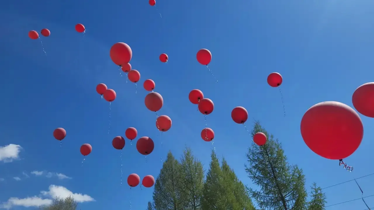 🔔Сегодня, в нашей школе прошло торжественное мероприятие «Последний звонок».                        
