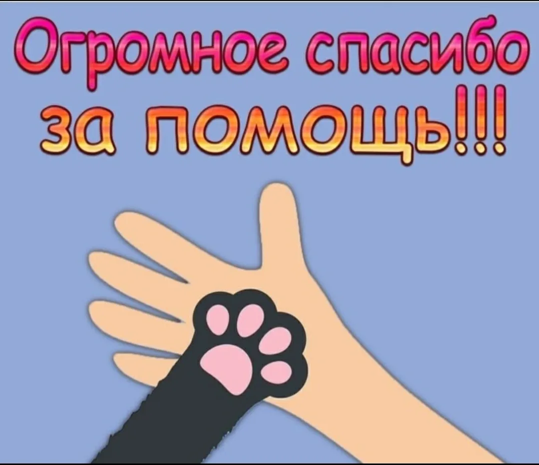 Друзья, большое спасибо всем, кто откликнулся !