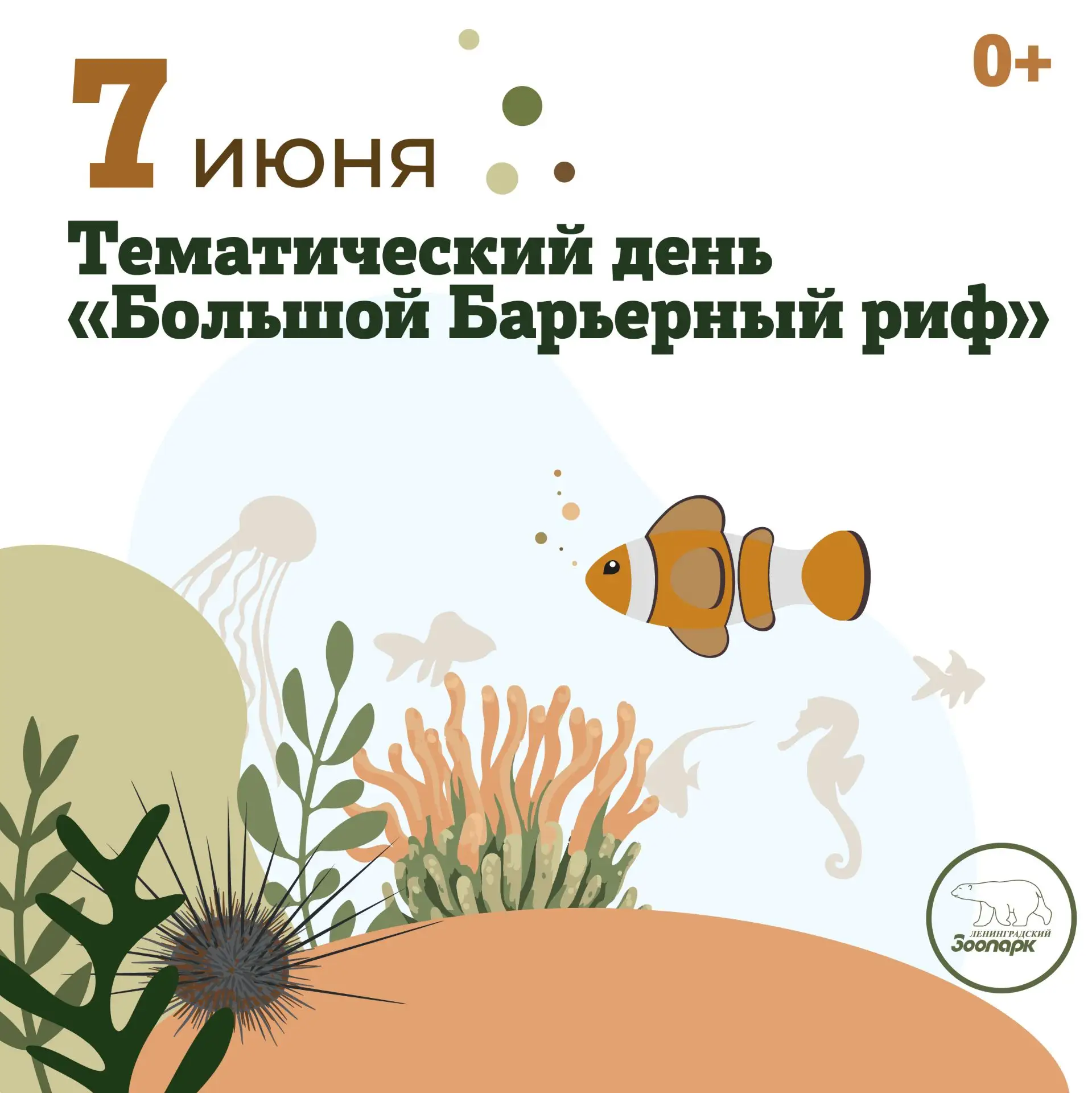 7 июня – Тематический день «Большой Барьерный риф»🌊