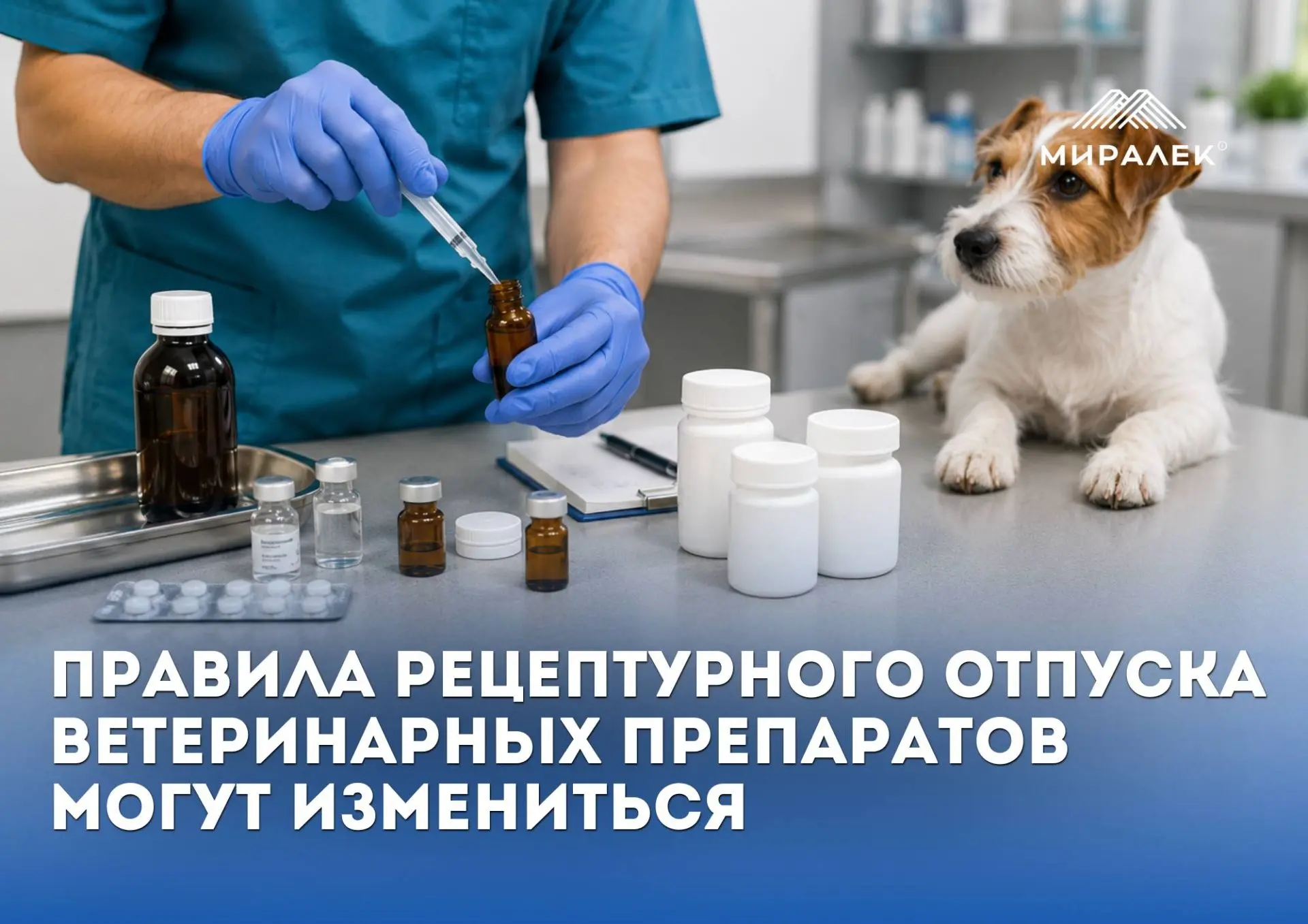 В Минсельхозе России обсудили возможные изменения в порядок рецептурного отпуска ветеринарных лекарс