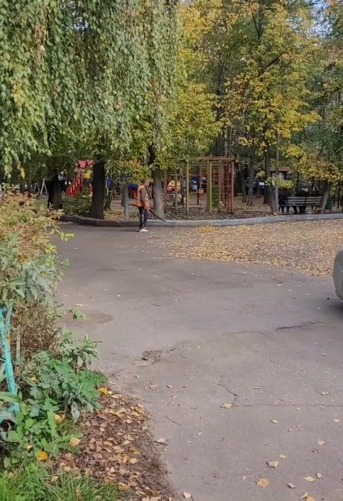 🍂 «Листья просто переезжают с места на место»: жители Томилино пожаловались на новый м...
