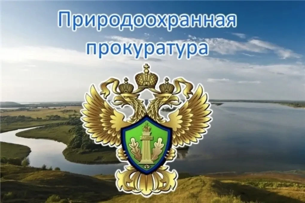 ⚡В Республике Алтай по иску природоохранного прокурора с золотодобывающей организации в...