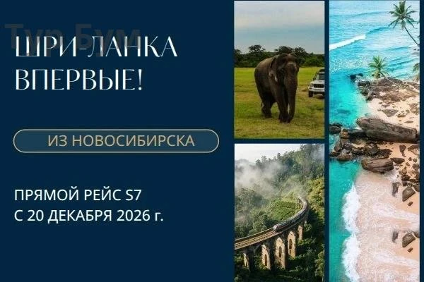 ✈️ Мы рады объявить о грандиозном событии: впервые а/к S7 запускает прямые рейсы из Нов...