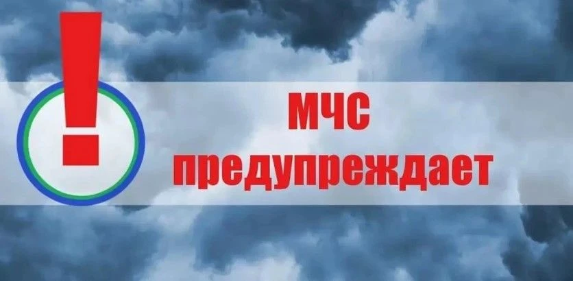 ❗️Ожидаются сильные дожди по Нижегородской области и г. Нижнему Новгороду в ближайшие 1-3 часа  9 ию