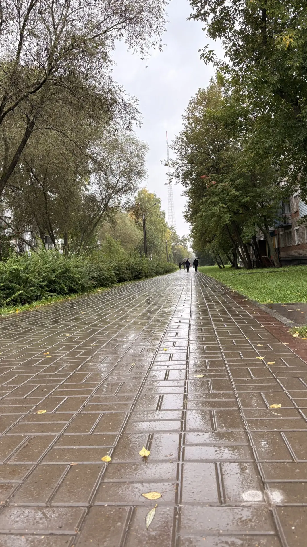 Грустная, дождливая, но все же такая красивая она…осень 🍁