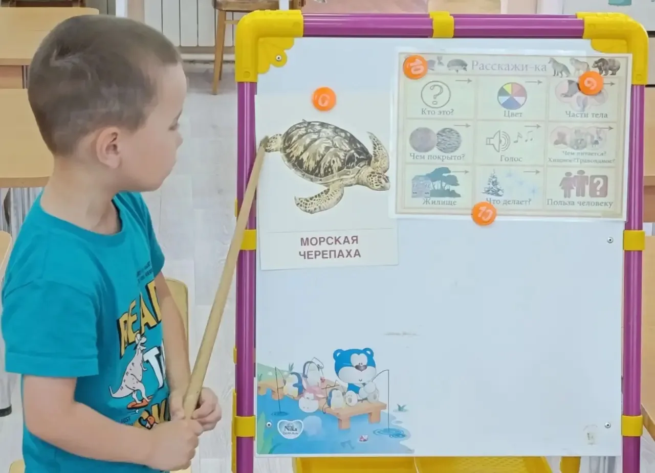 🎉 16 июня - День морской черепахи! 🐢