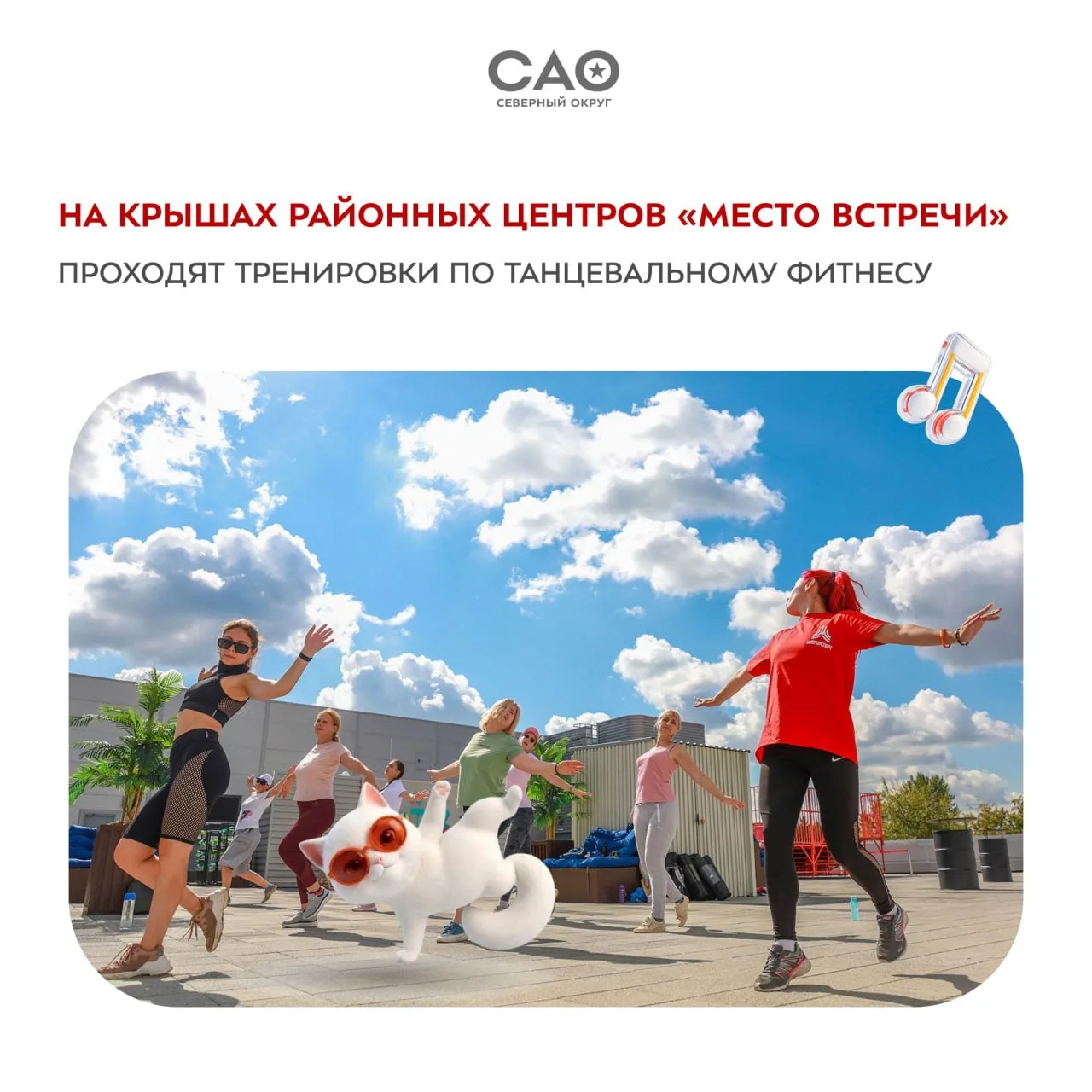 💃 Танцевальный фитнес на крышах: «Мой спортивный район» приглашает на тренировки