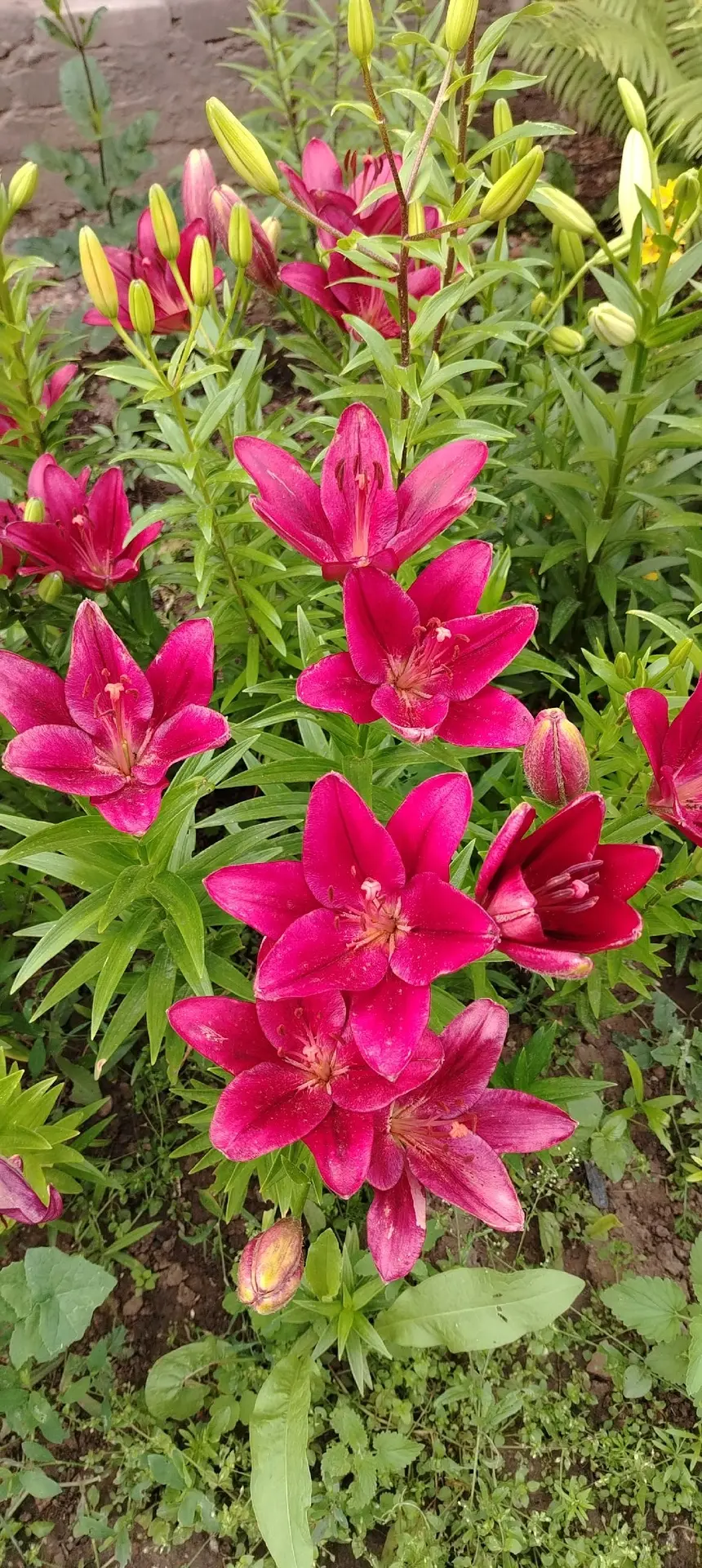 Красота от подписчицы 😍