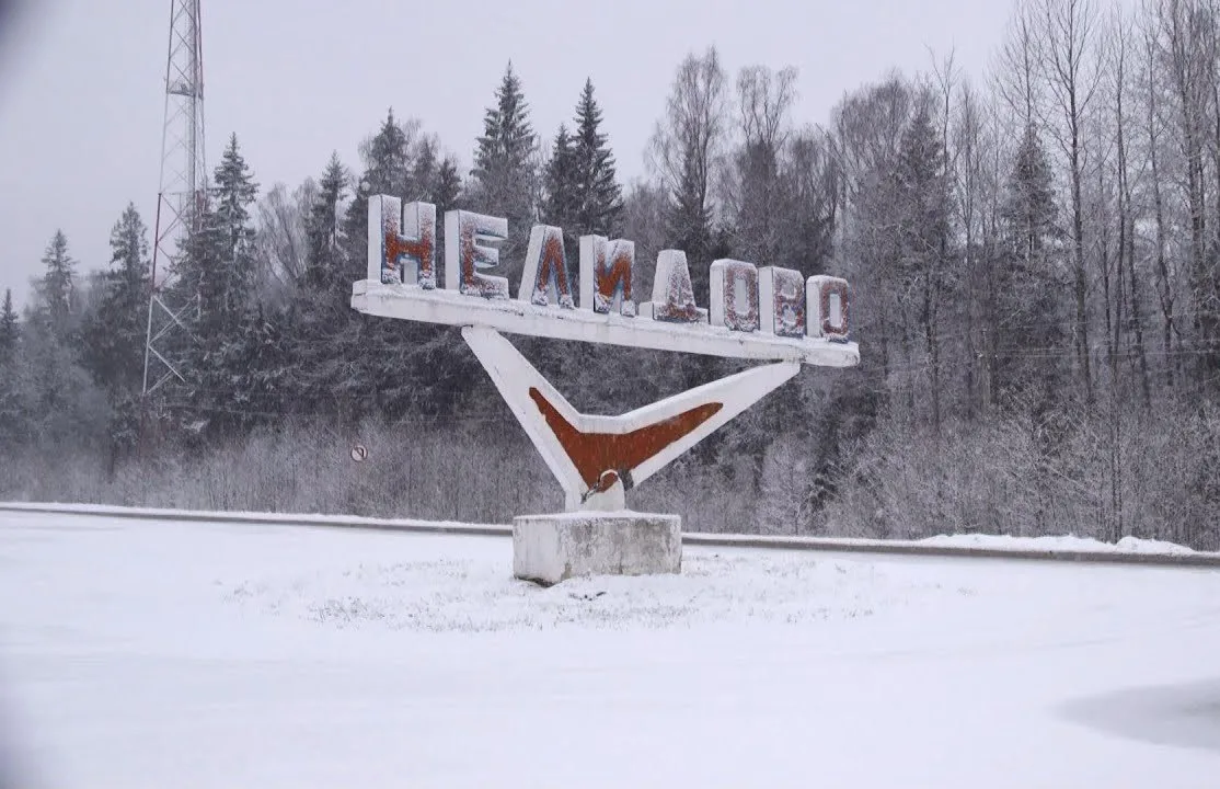 🎄 В Нелидове хотят установить новую 12-метровую новогоднюю ель
