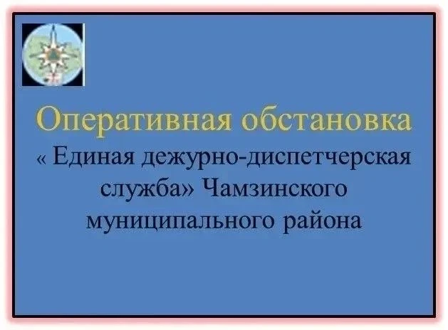 ❗️За минувшие сутки с 06:00 09 августа 2026 г. до 06:00 10 августа 2026 г. на территории Чамзинского