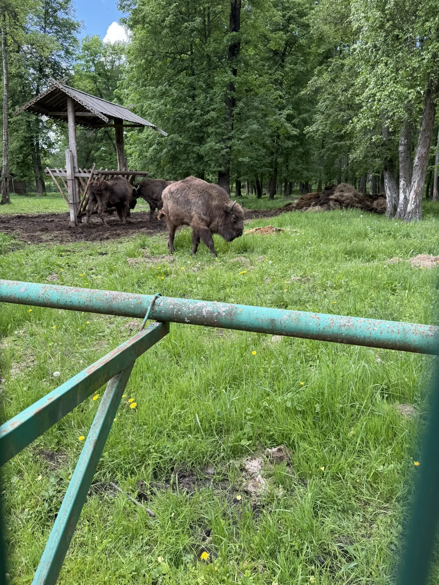 Победители экологического конкурса «Чистый холст» обучающиеся  3Б класса МАОУ «ДОК «Наследие» сегодн