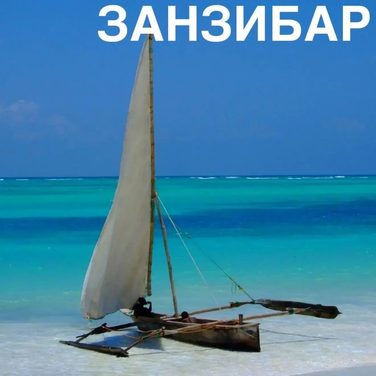 Бананы, кокосы, апельсиновый рай⚡️