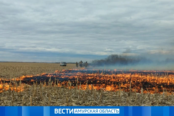 На Амурскую область обрушится сильный ветер – вырастет риск пожаров  Амурский гидрометцентр объявил 