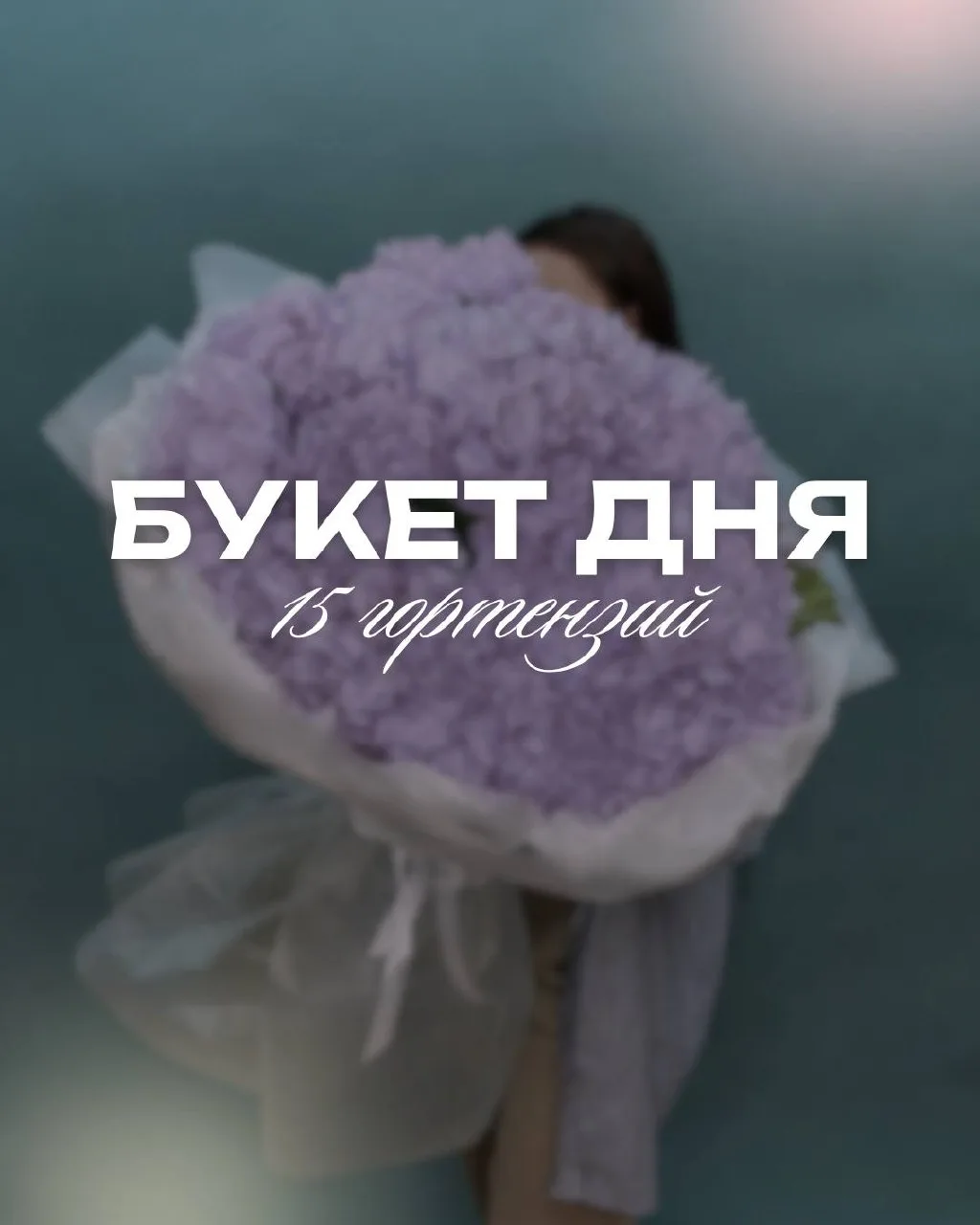 ✨БУКЕТ ДНЯ✨