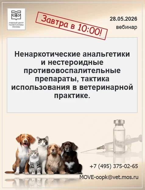 🛎 Уважаемые коллеги!