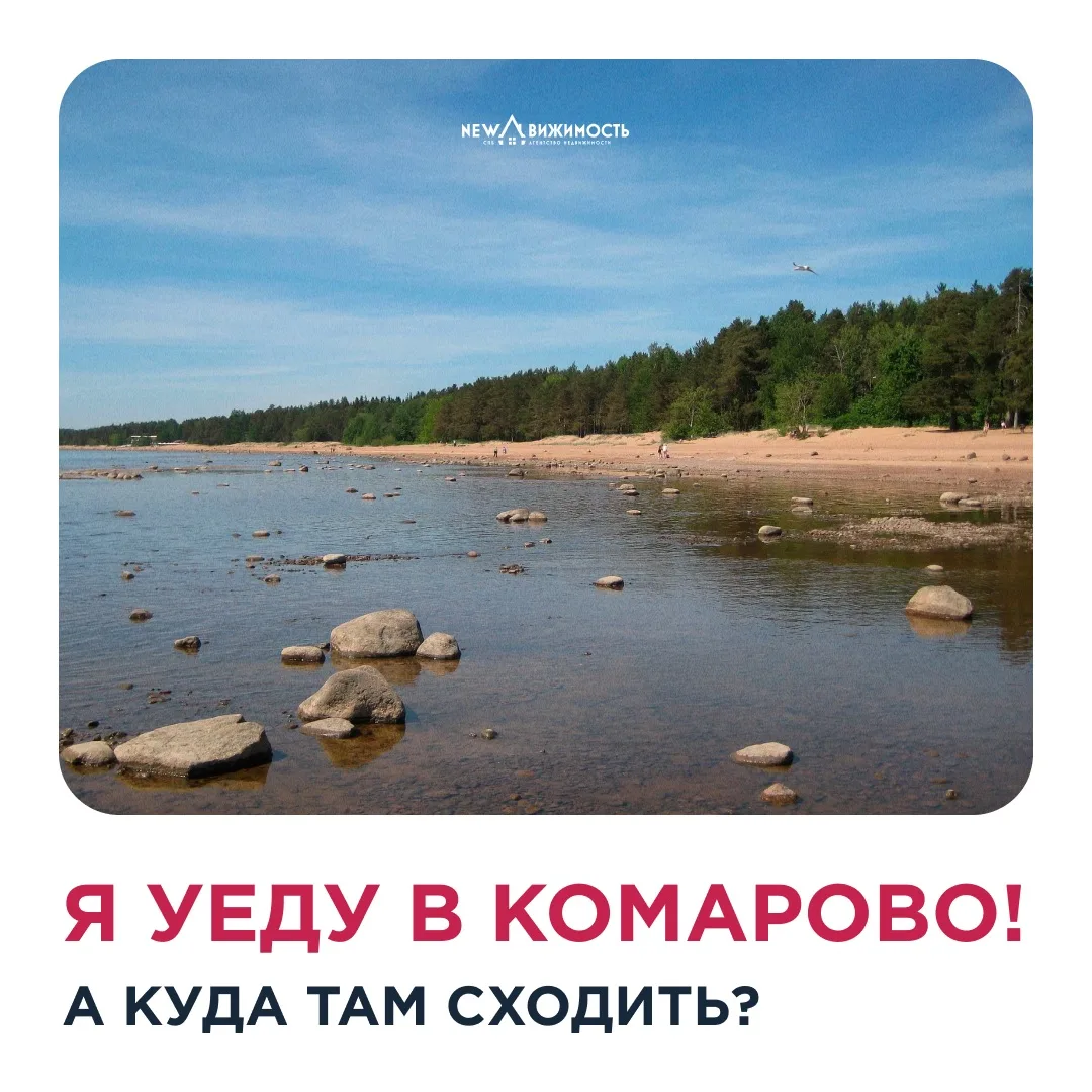 🛤 Последние выходные лета надо провести где? Правильно, в Комарово!