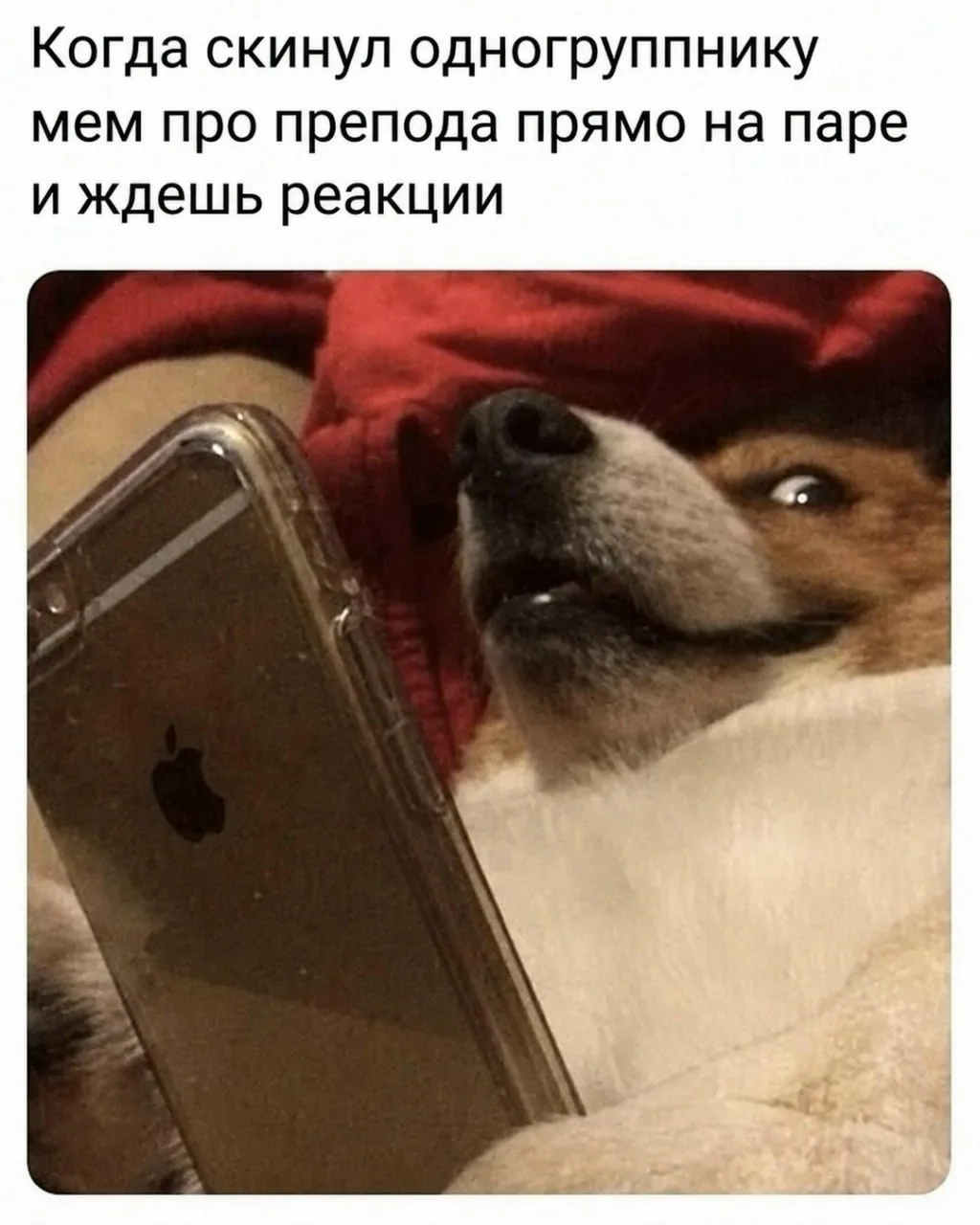 👉 Цитаты @channel_citatnik