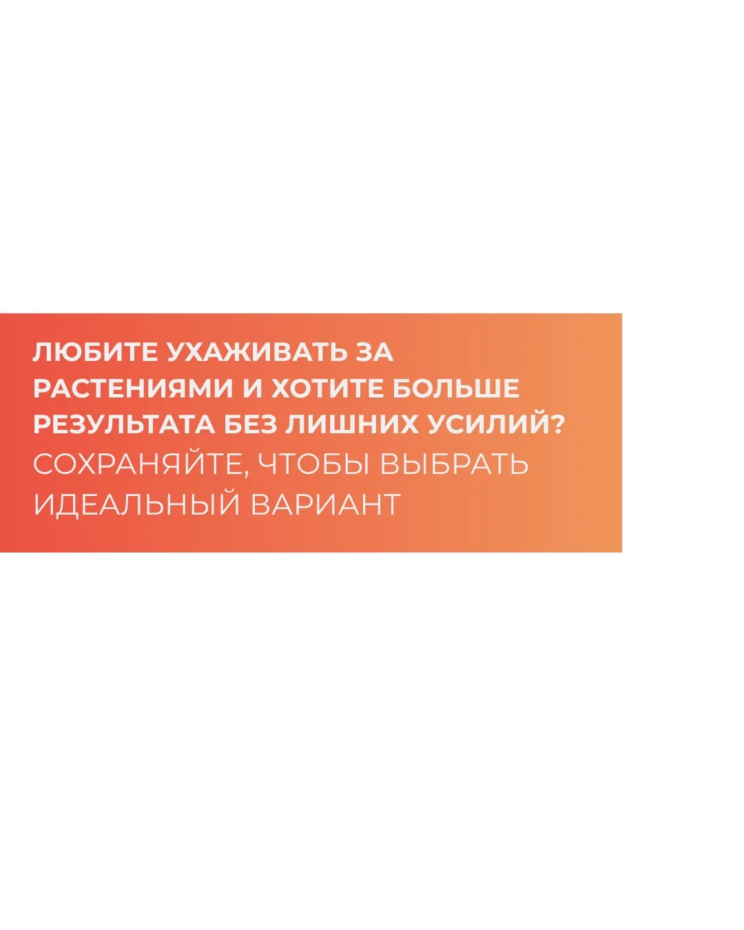 Любите ухаживать за растениями и хотите больше результата без лишних усилий?