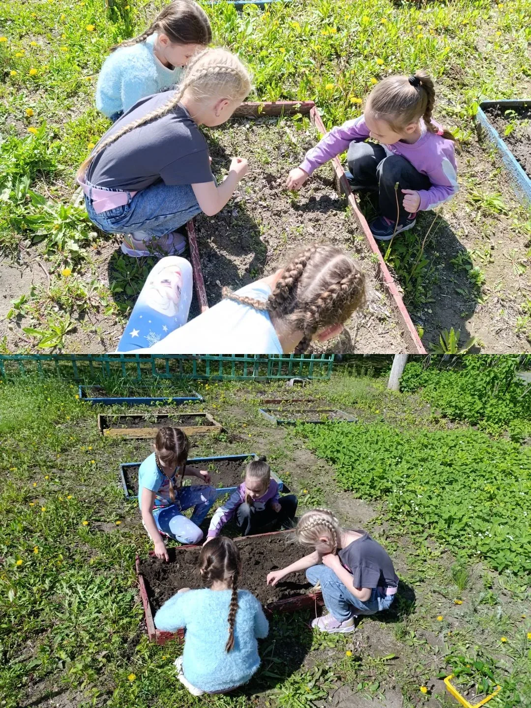 📸 Вот такие юные огородники у нас растут! 🌱