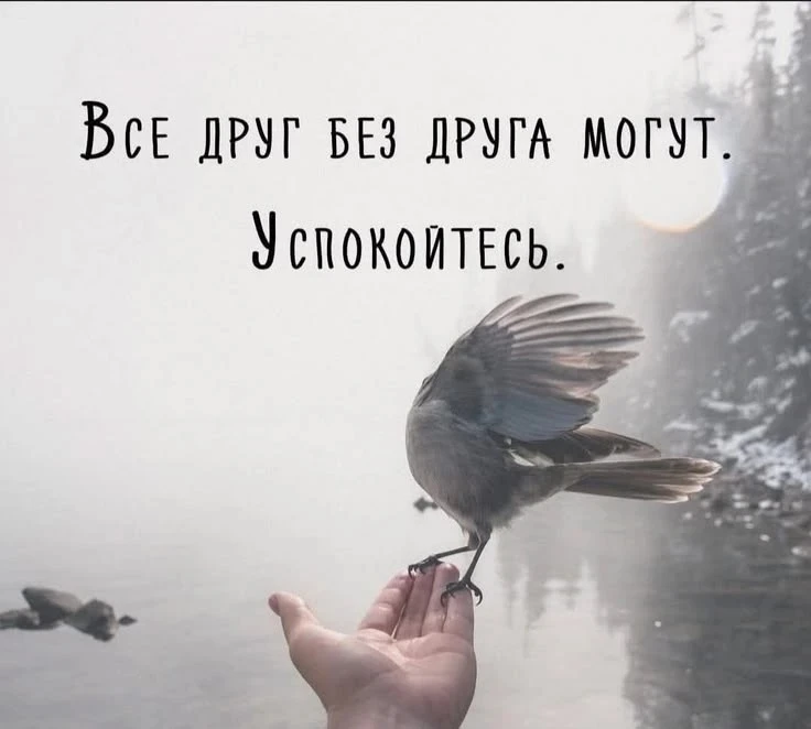 «Все друг без друга могут. Успокойтесь.»