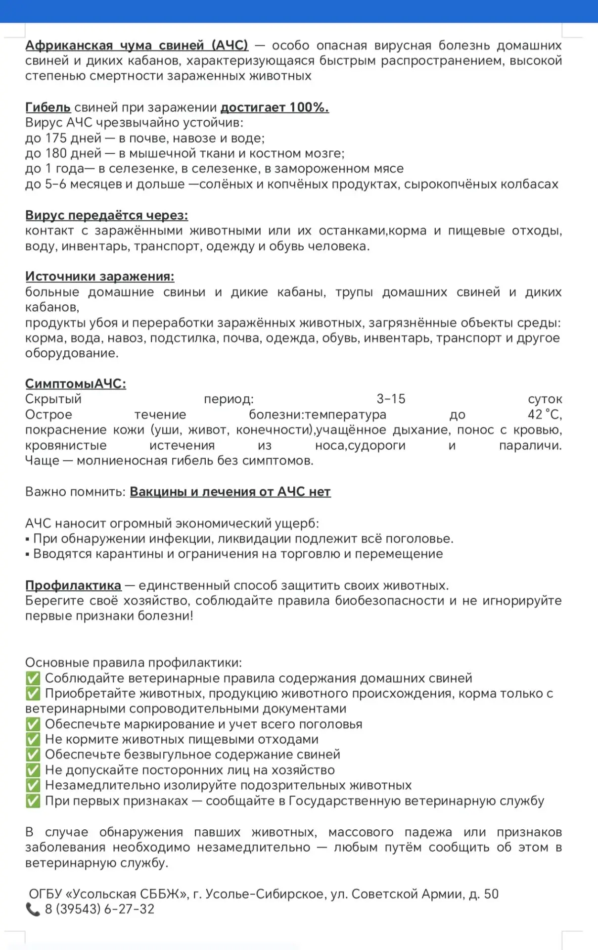 В г. Усолье-Сибирское и Усольском районе Иркутской области стартовал месячник «ЛЕТНИЙ В...