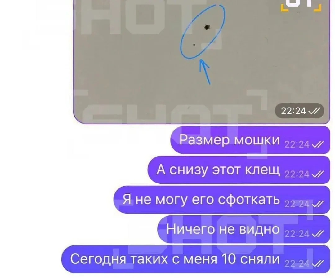 😳 Микроклещей массово находят на россиянах