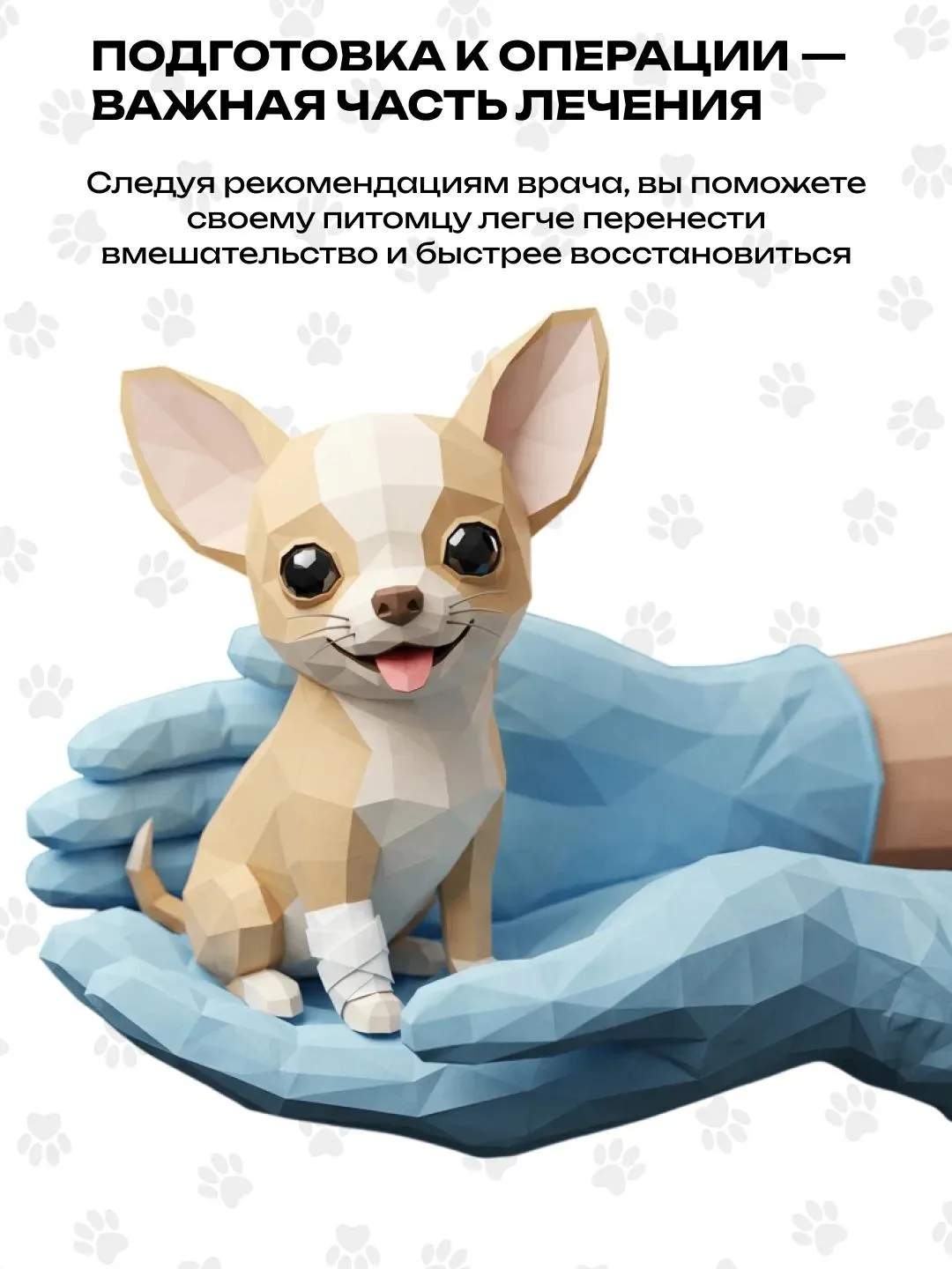 🐾  Операция для питомца — всегда волнительный момент. Правильная подготовка поможет сд...