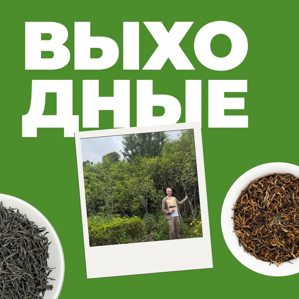 🌿 Мероприятия в «Белой Обезьяне» на выходные 5 — 7 июня

Идеальное время, чтобы насладиться новыми 