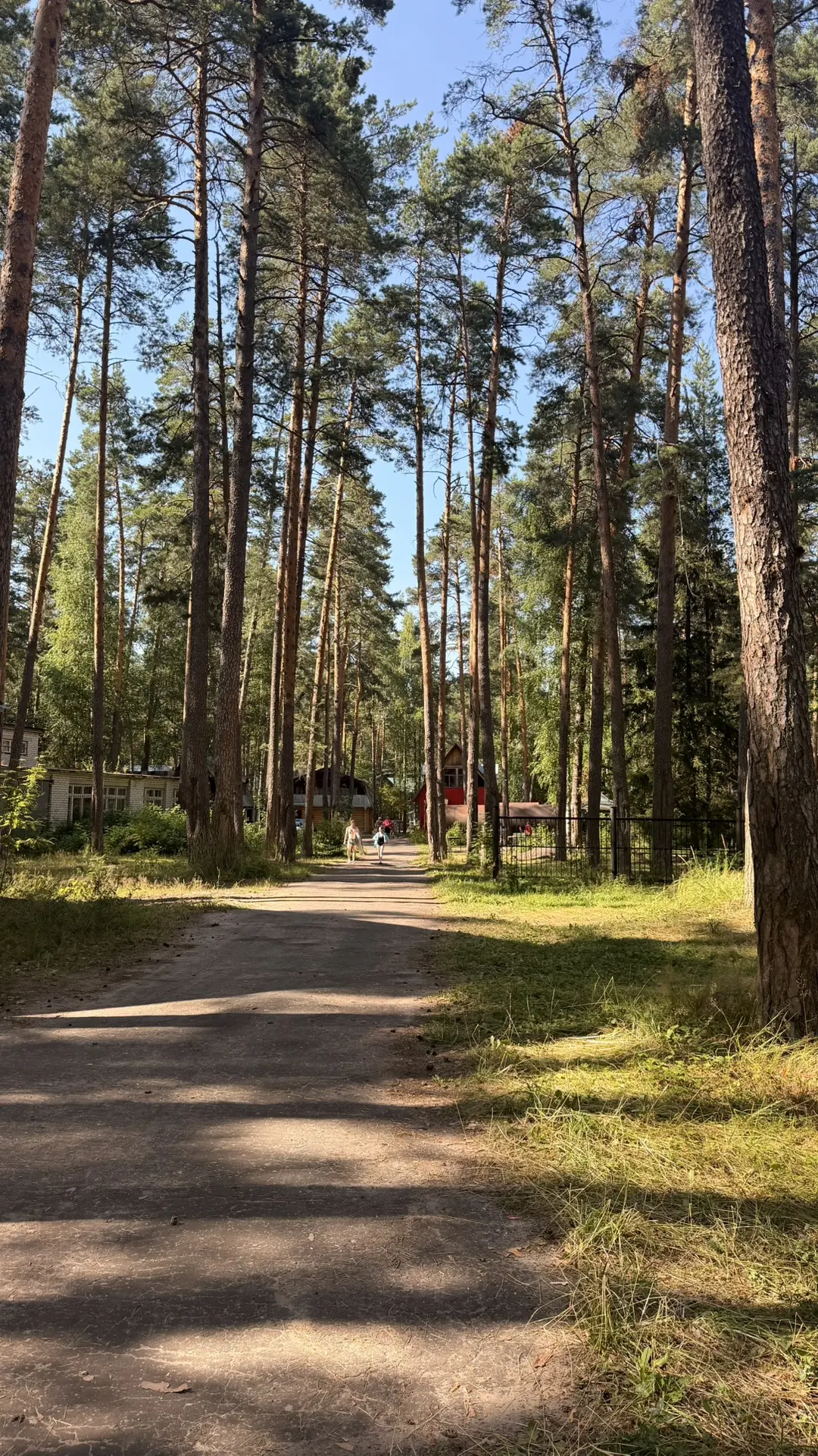 📍Святое Озеро 

Абонент вне зоны действия сети…в этом году лето нас совсем не радует жаркими денька