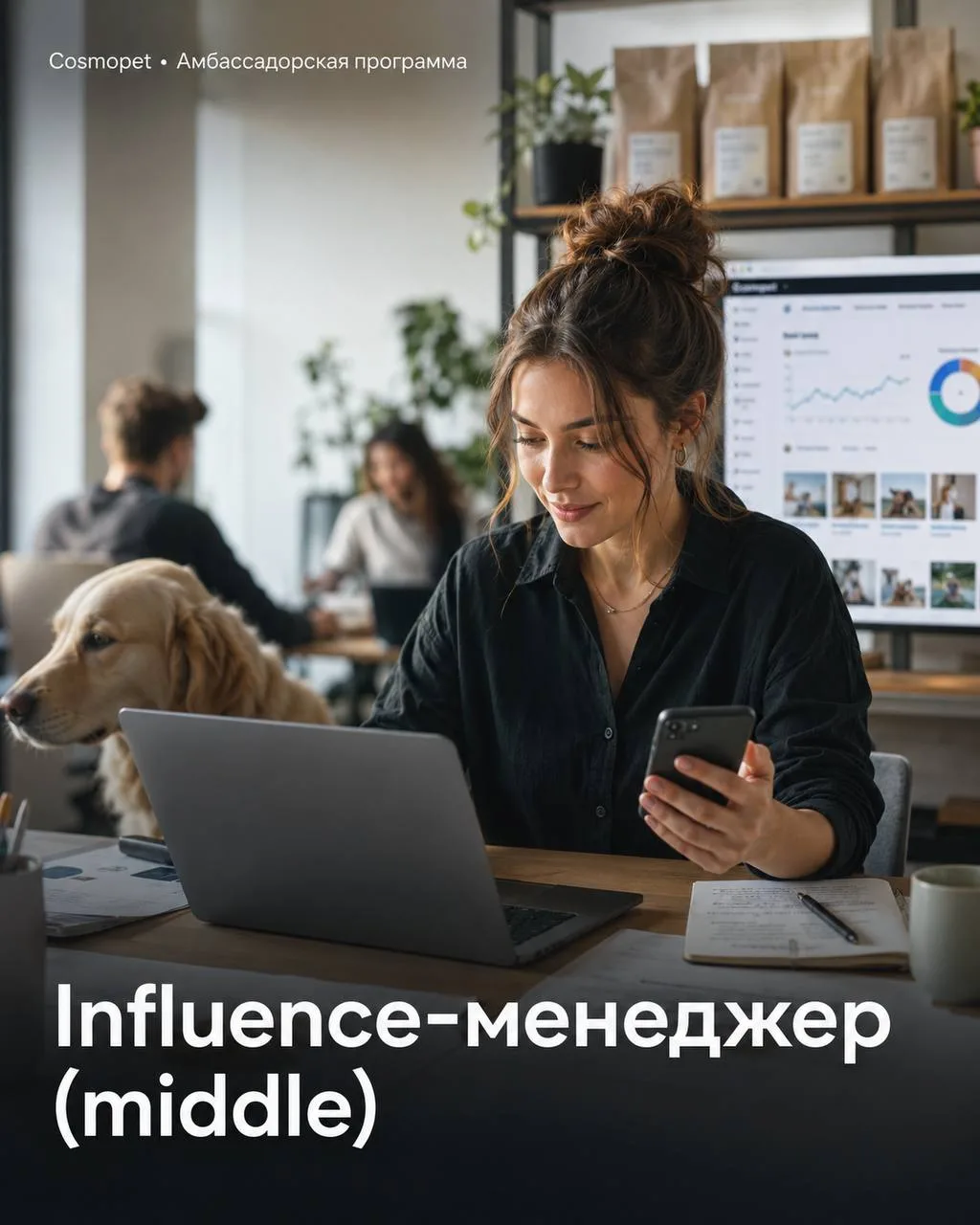 INFLUENCE МЕНЕДЖЕР