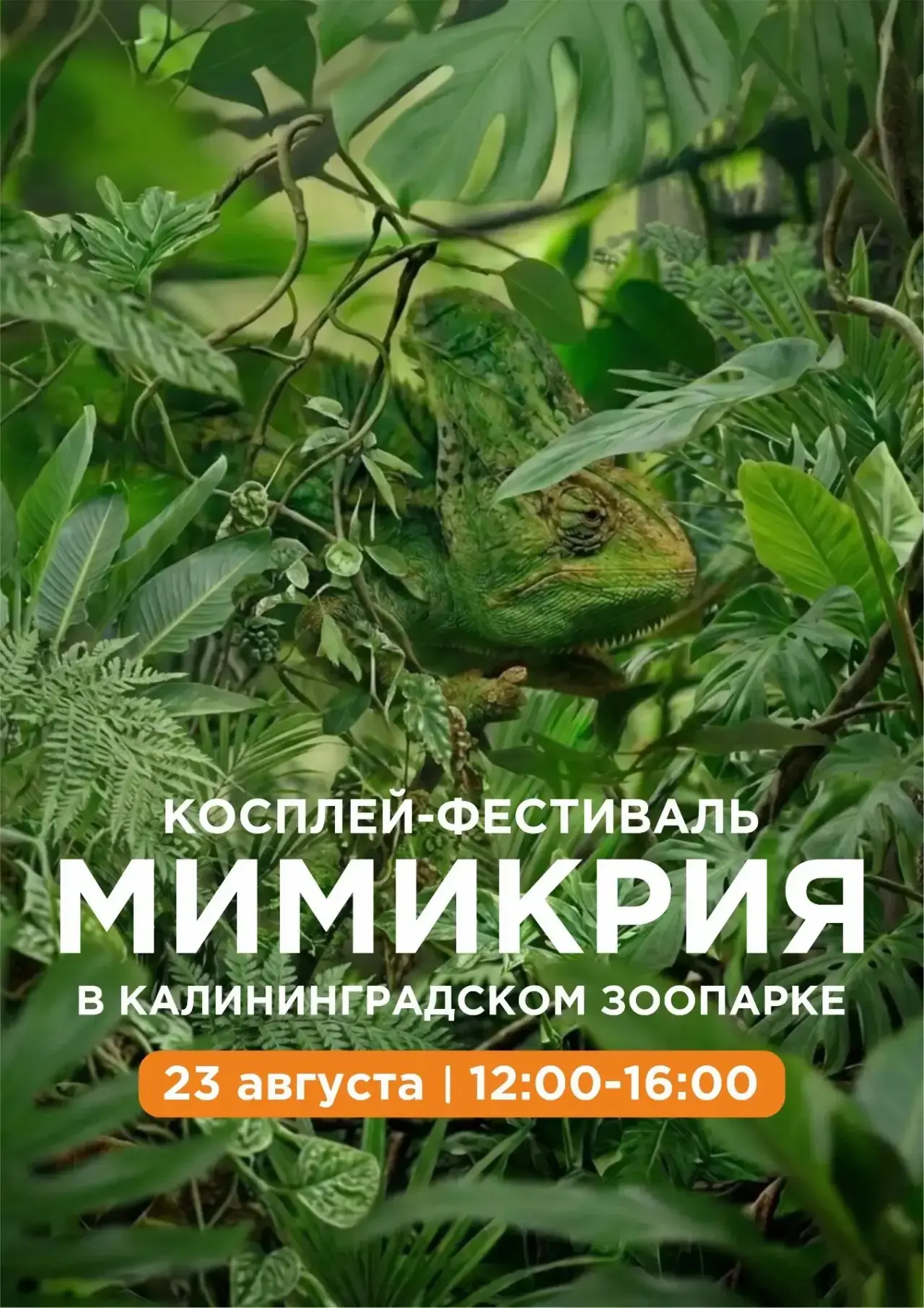 🎁 Остался день, чтобы выиграть!