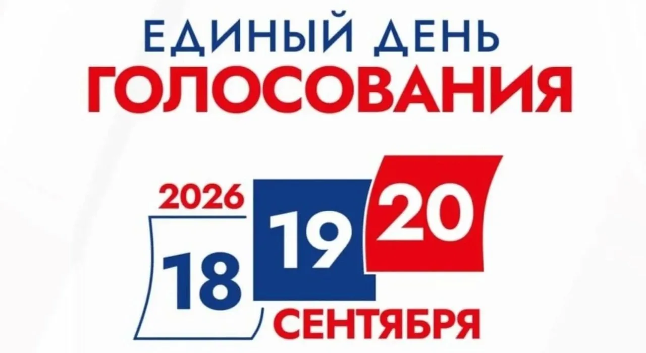 Выборы 🗳️