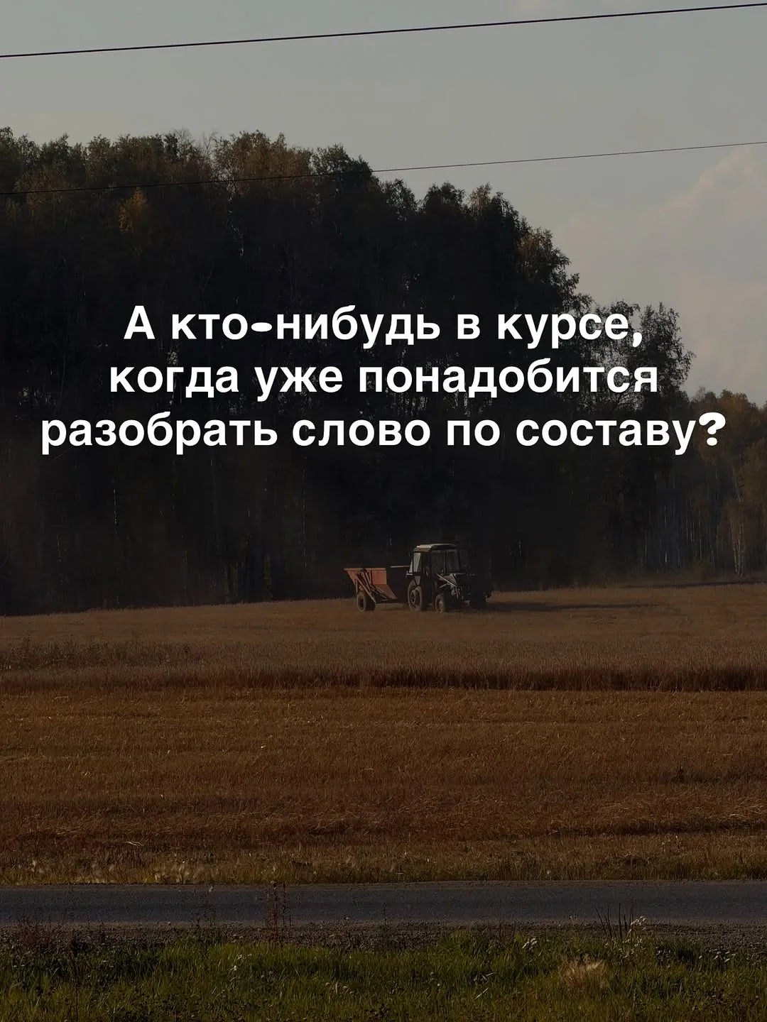 Спасибо за реакции — очень ценю!