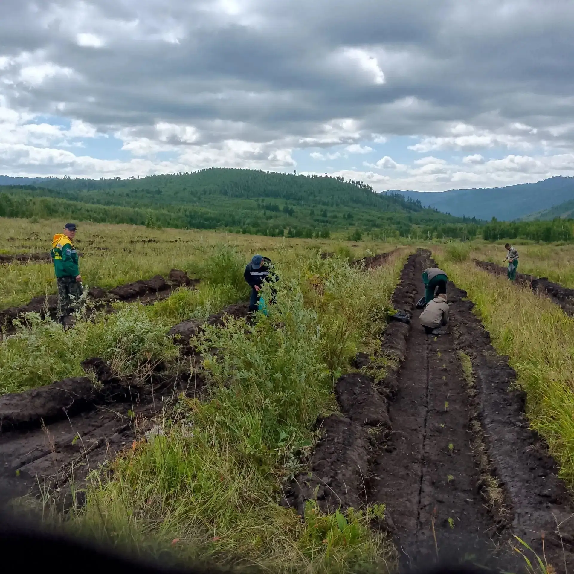 🌲🌳В рамках национального проекта «Экологическое благополучие» завершаются посадки лес...