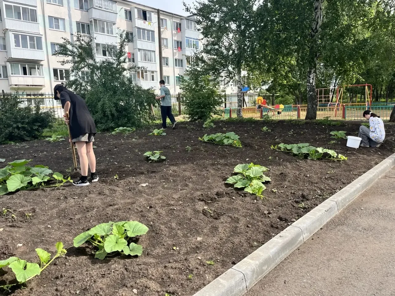 Работа на пришкольном участке