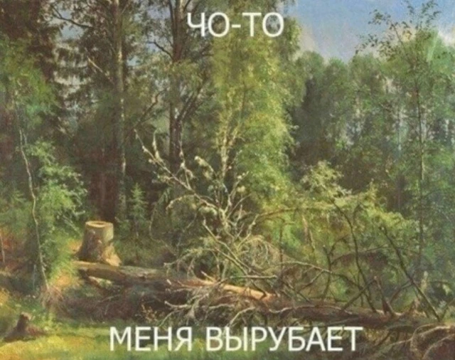 Всем спокойной ночи😄