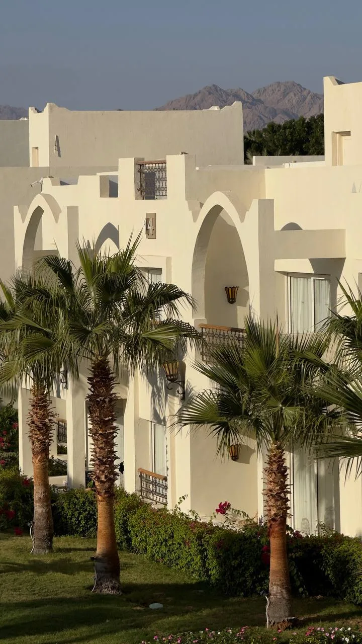 Swiss Hotel Sharm 5* — Египет, Шарм-эль-Шейх
Мои туристы недавно были там и присылают вот такие кадр