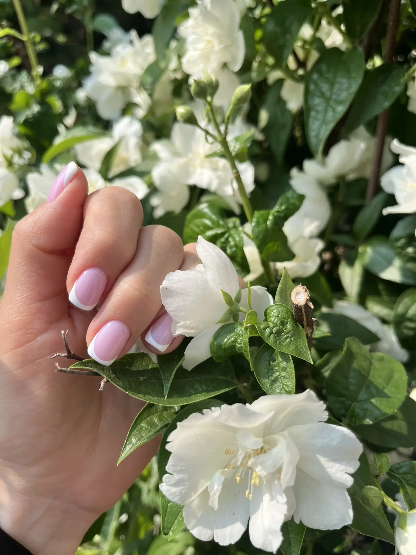 Очень доброе утро , оно такое 🌸