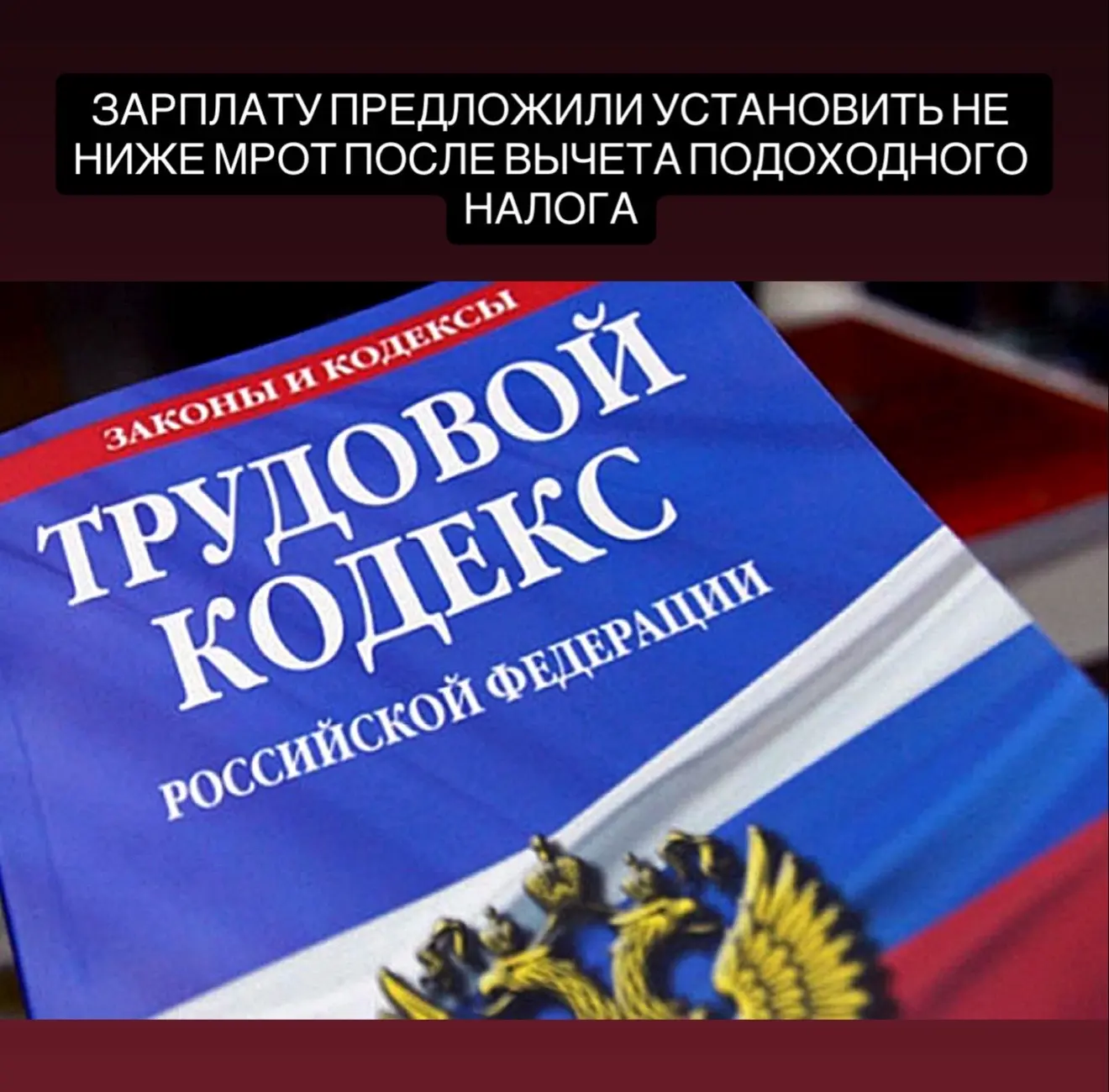 Депутаты партии «Справедливая Россия» внесли в Госдуму законопроект, который предлагает изменить пра
