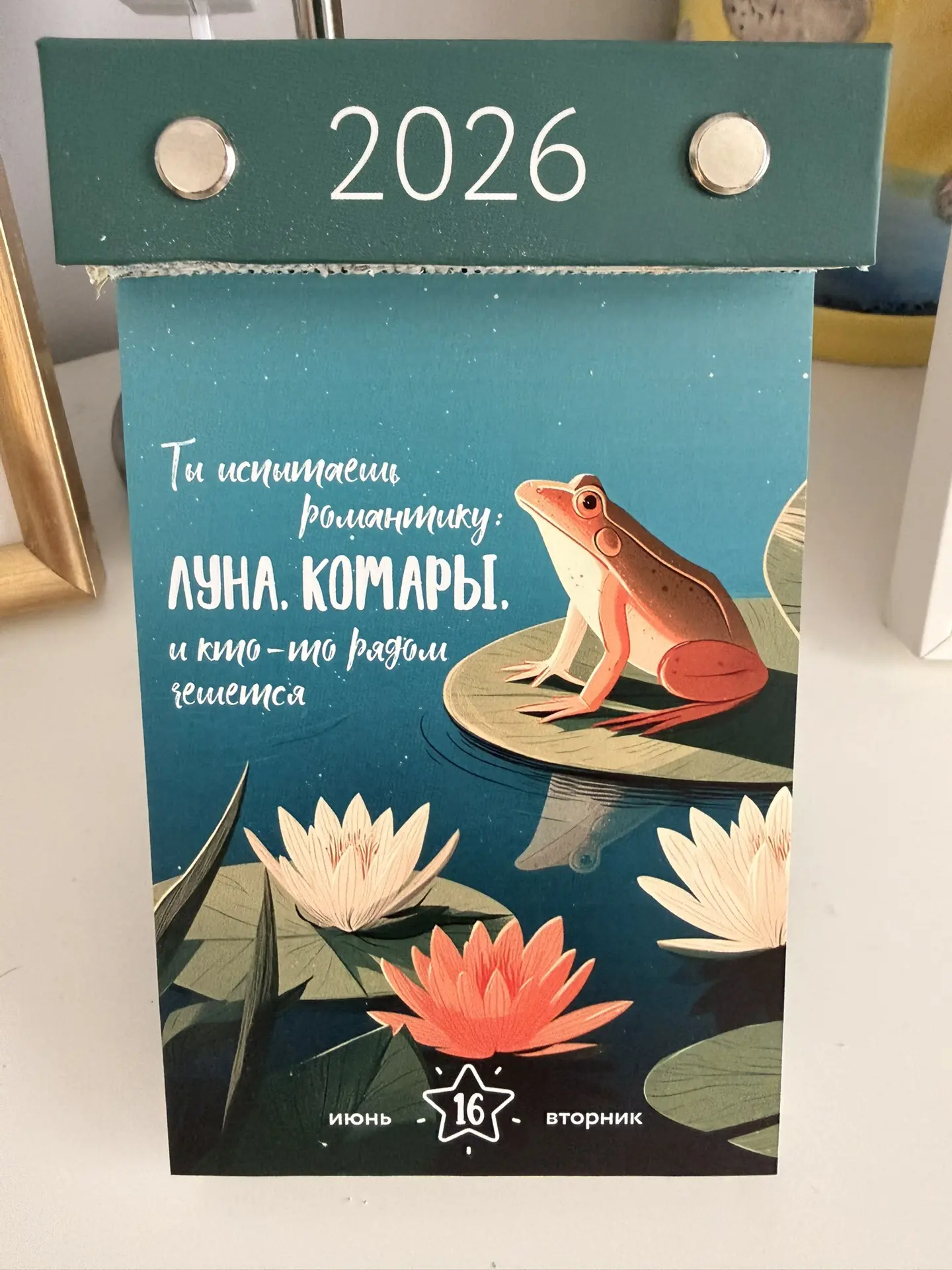 16.06.26 Моменты дня 🌞