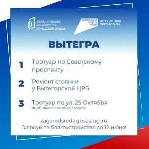 Один из трех проектов благоустройства выбирают жители Вытегры 
 
До 12 июня на платформе zagorodsred