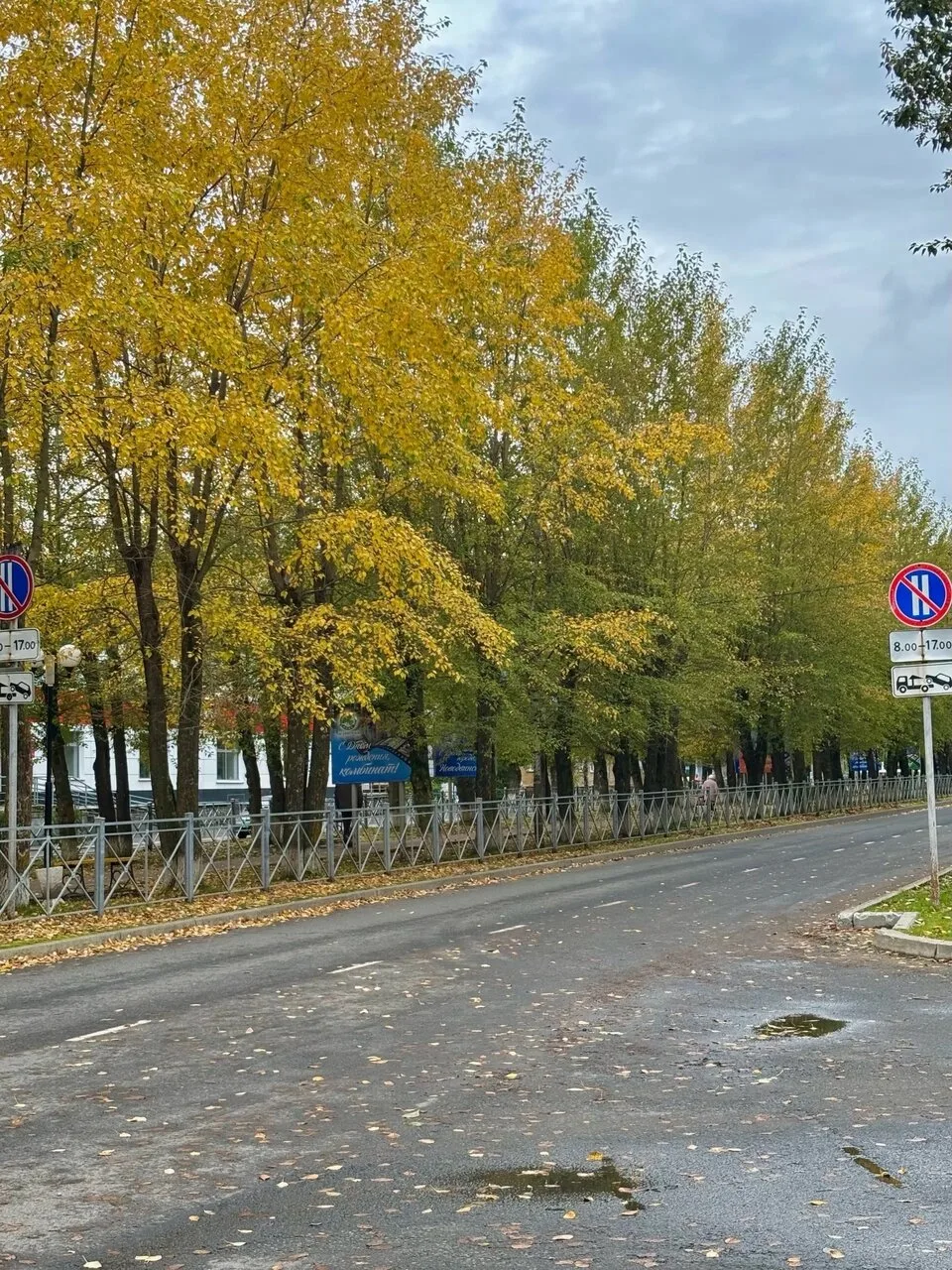 Красивое ❤Разноцветная осень в Новодвинске. Октябрь 2026 г.