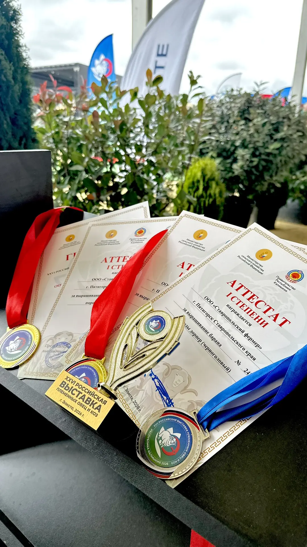 Гордость нашей фермы 🏆

На XXVI Всероссийской выставке племенных овец и коз в Элисте эксперты вы